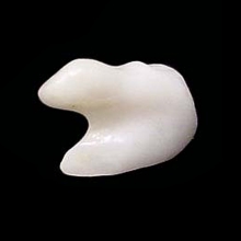 a-fossilised-shell-amulet-bead-in-form-of-stylised-animal-form_e1904b