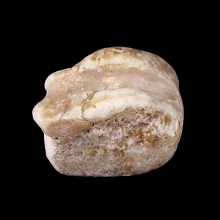 a-fragment-from-an-alabaster-figurine-of-a-bird-(possibly-a-goose)_09531c