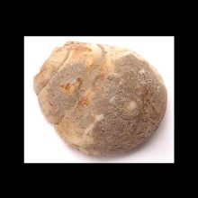 an-early-bactrian-shell-bead_06140a