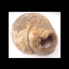 an-early-bactrian-shell-bead_06140c