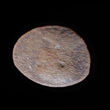 roman-bronze-coin-of-severus-alexander;-reverse-with-temple-of-astarte_e2803b